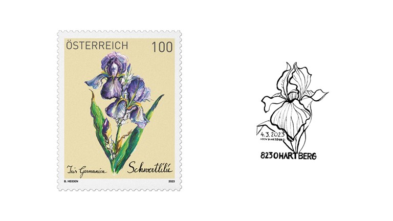 Special stamp lily